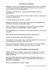 3-Fehlerlesen-Stockente-Text.pdf